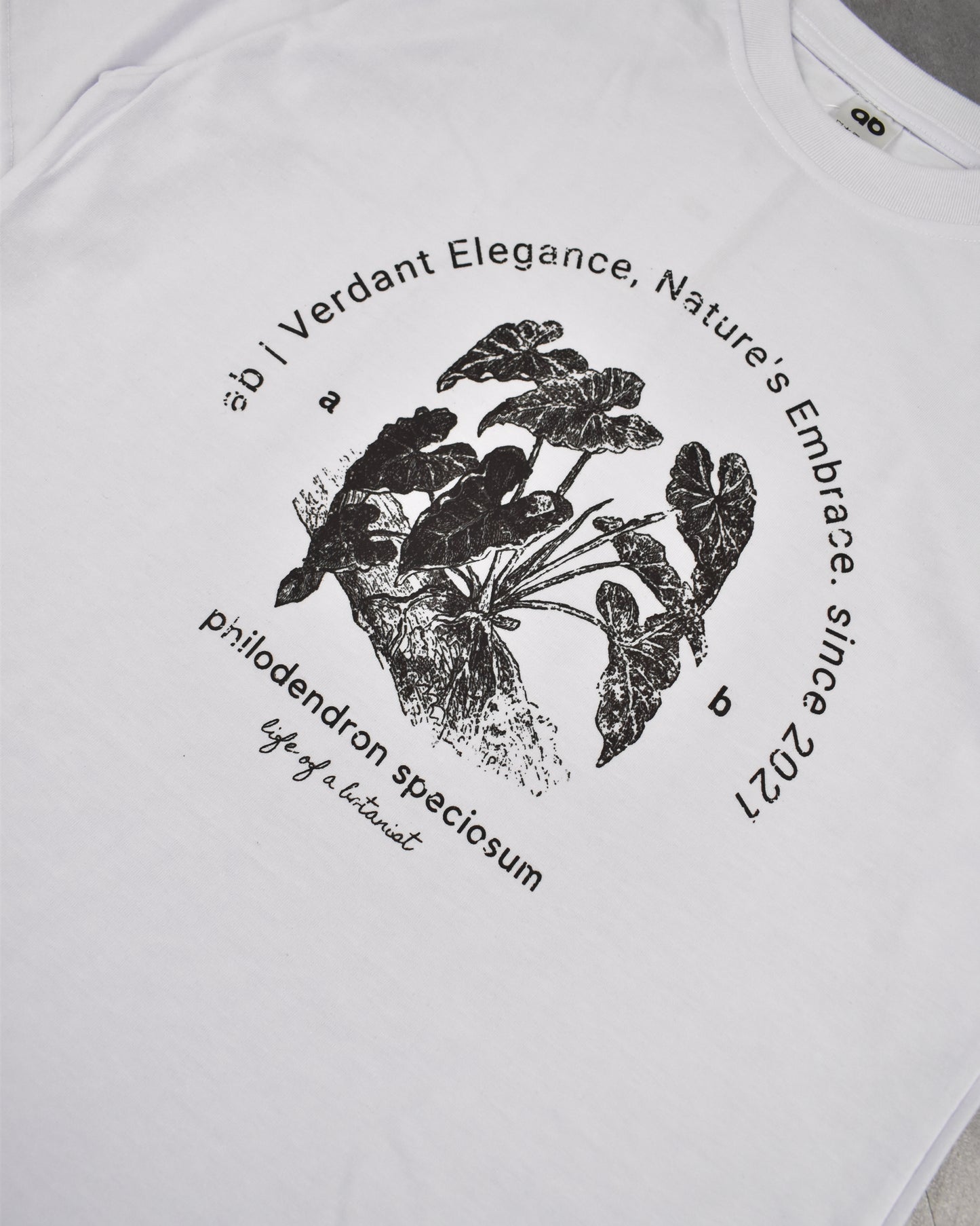 everyday tee | 250gsm | botanist collection | philodendron speciosum