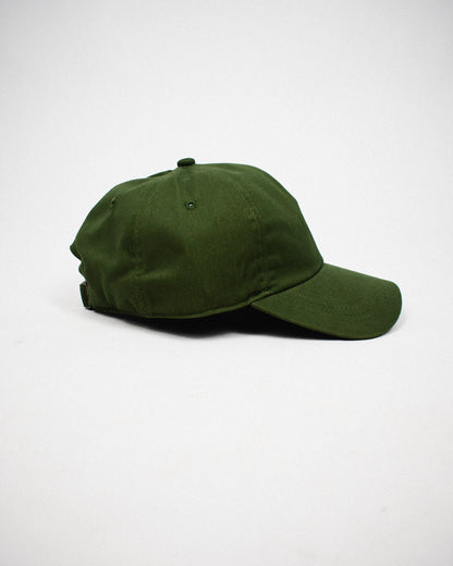 headgear | baseball hat | classic | fern