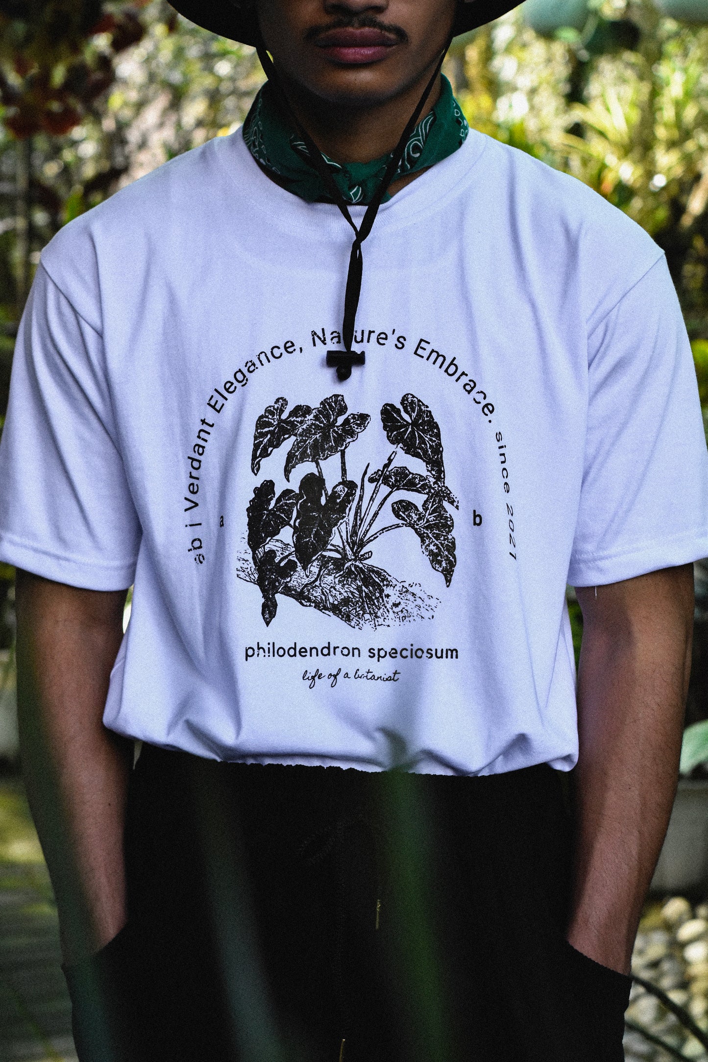 everyday tee | 250gsm | botanist collection | philodendron speciosum