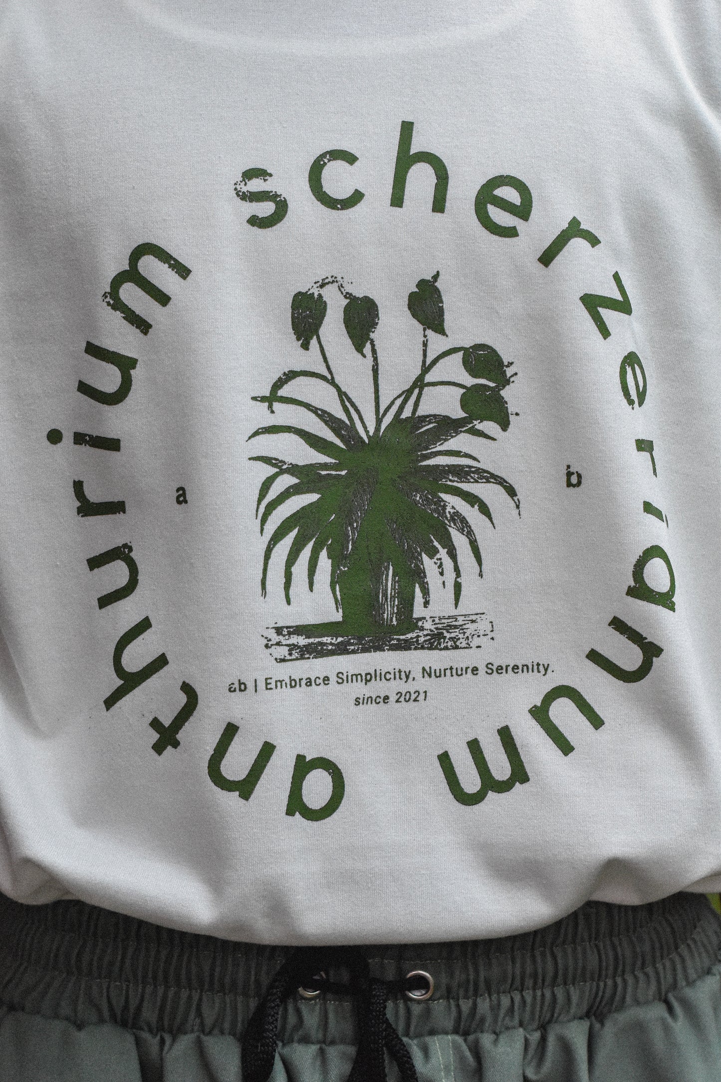 everyday tee | 250gsm | botanist collection | anthurium scherzerianum